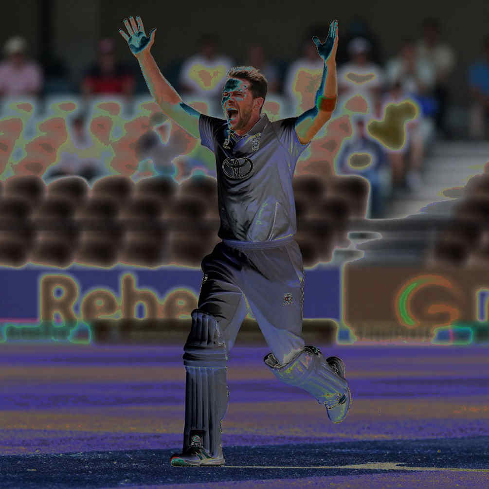 Starc's 24.75 Crore: The Ledger Line the IPL Auction Headline Never Shows Starc's 24.75 Crore: The Ledger Line the IPL Auction Headline Never Shows